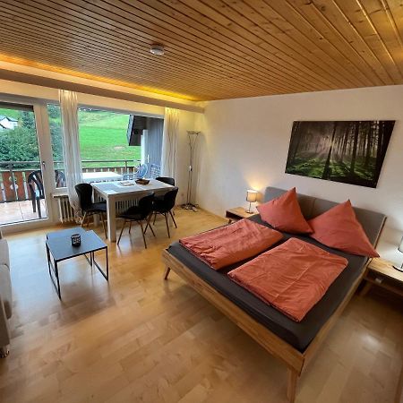 Haus Am Sonnenberg, Todtnauberg, Ferienwohnung 204, Direkt Am Skilift-Skipiste, Naehe Feldberg Kültér fotó