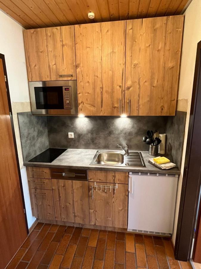 Haus Am Sonnenberg, Todtnauberg, Ferienwohnung 204, Direkt Am Skilift-Skipiste, Naehe Feldberg Kültér fotó