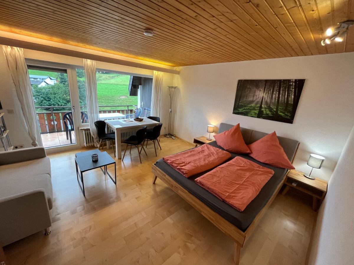 Haus Am Sonnenberg, Todtnauberg, Ferienwohnung 204, Direkt Am Skilift-Skipiste, Naehe Feldberg Kültér fotó