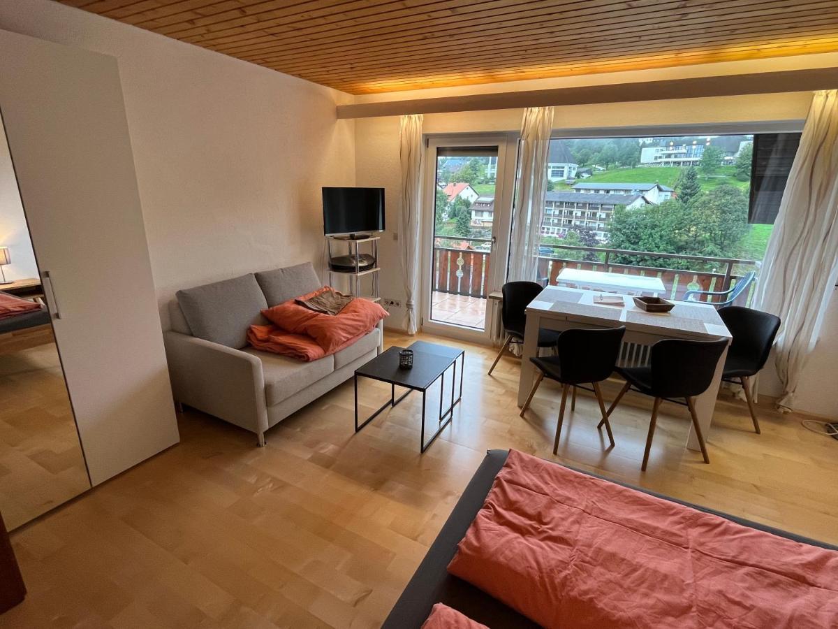 Haus Am Sonnenberg, Todtnauberg, Ferienwohnung 204, Direkt Am Skilift-Skipiste, Naehe Feldberg Kültér fotó