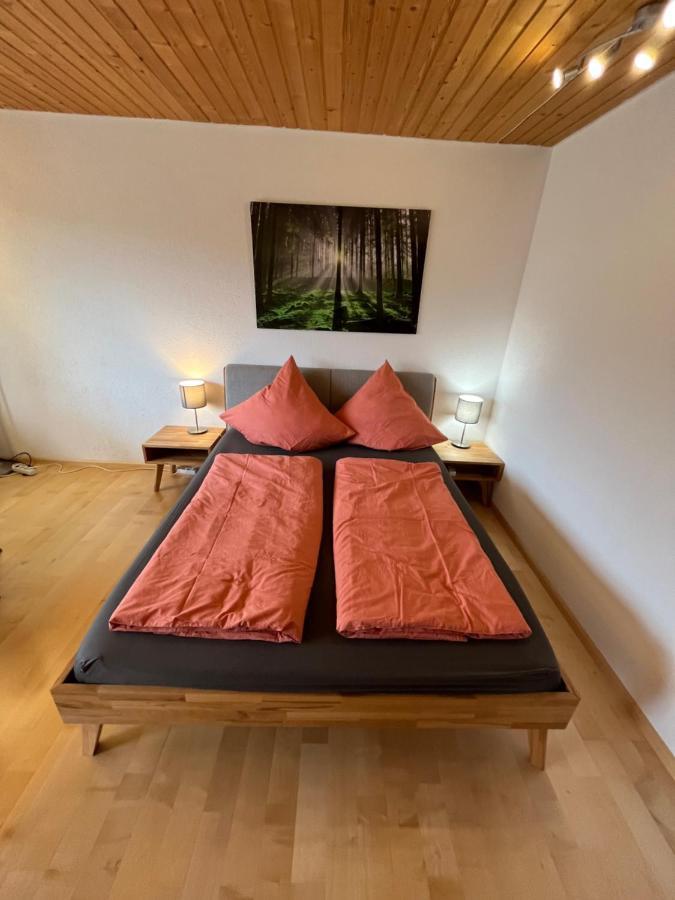 Haus Am Sonnenberg, Todtnauberg, Ferienwohnung 204, Direkt Am Skilift-Skipiste, Naehe Feldberg Kültér fotó